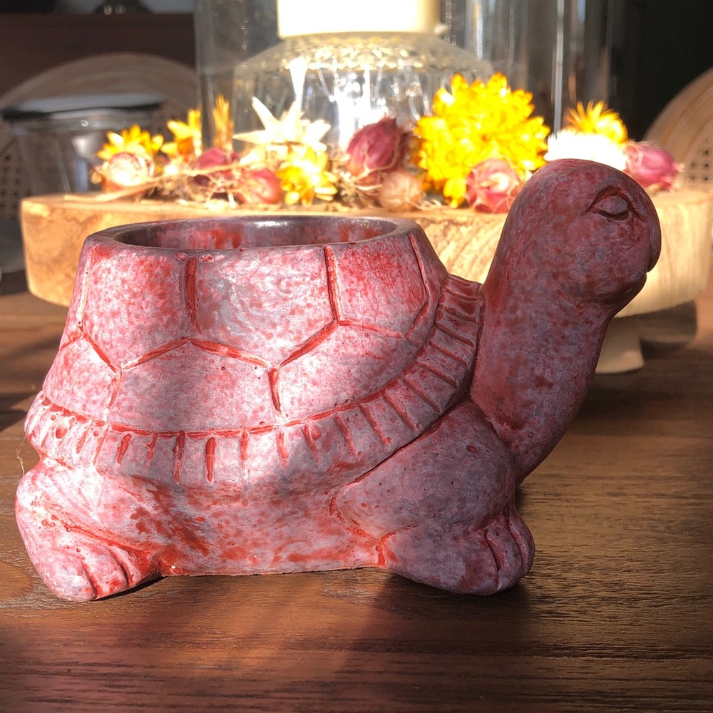 Red Turtle Planter - Picture 2 of 6
